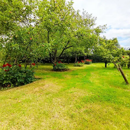 Logis Du Cheval Blanc Guest house *